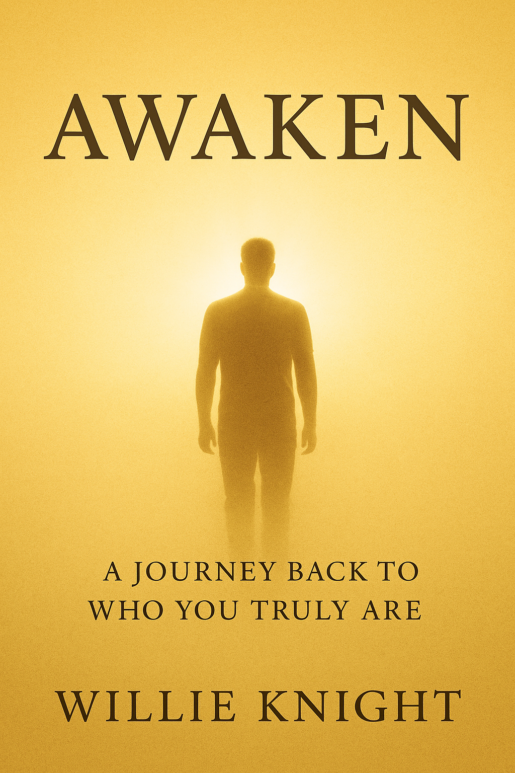 Awaken book cover